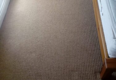 Carpet Cleaning For Cat Urine