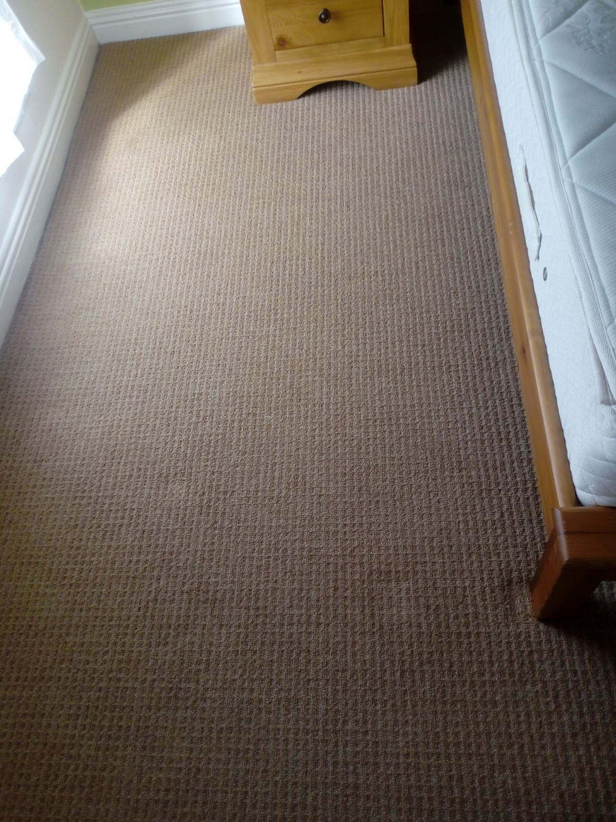 Carpet Cleaning For Cat Urine