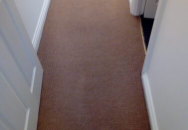 Prepping For Summer With Quality Carpet Cleaning