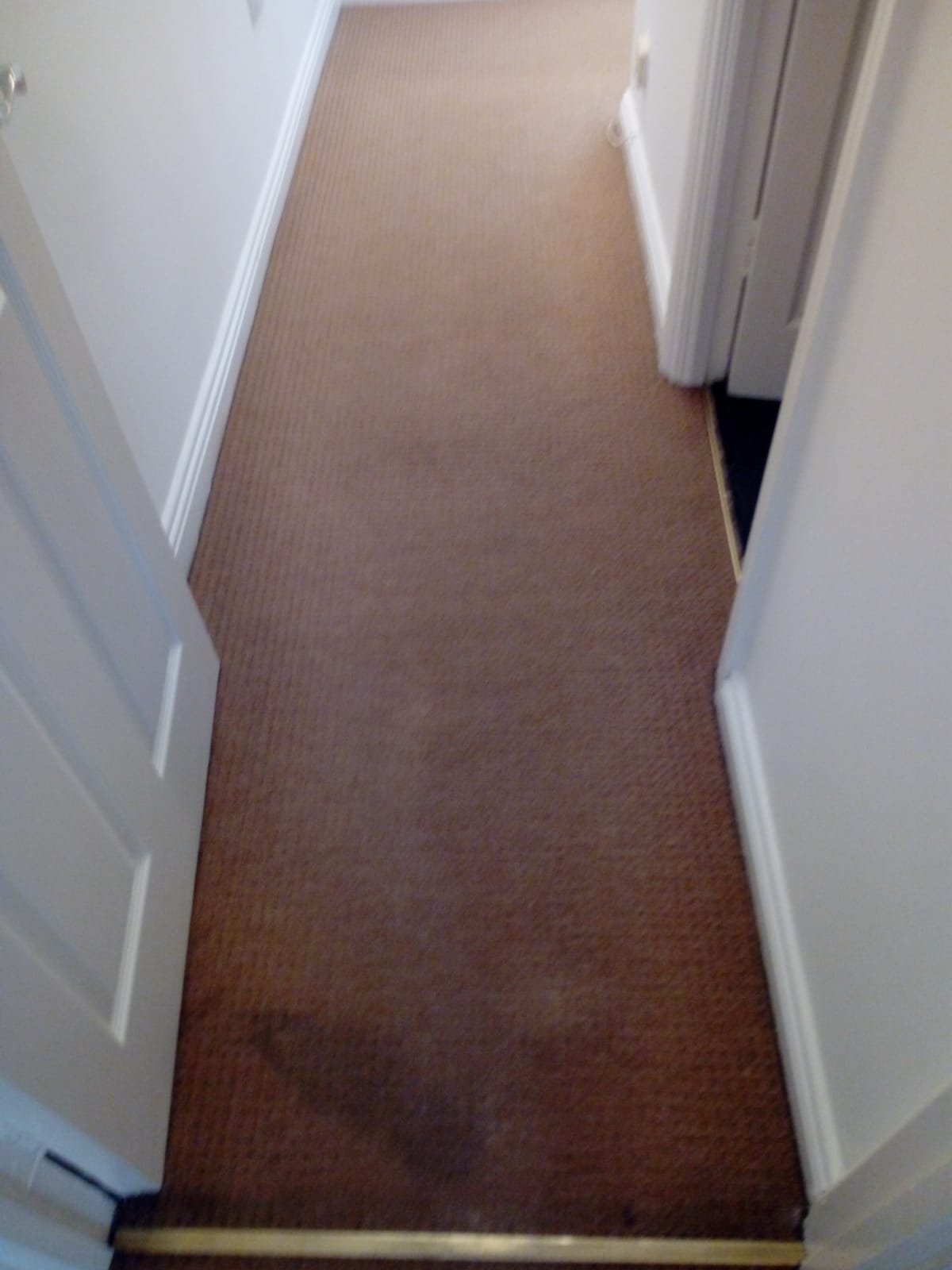 Prepping For Summer With Quality Carpet Cleaning