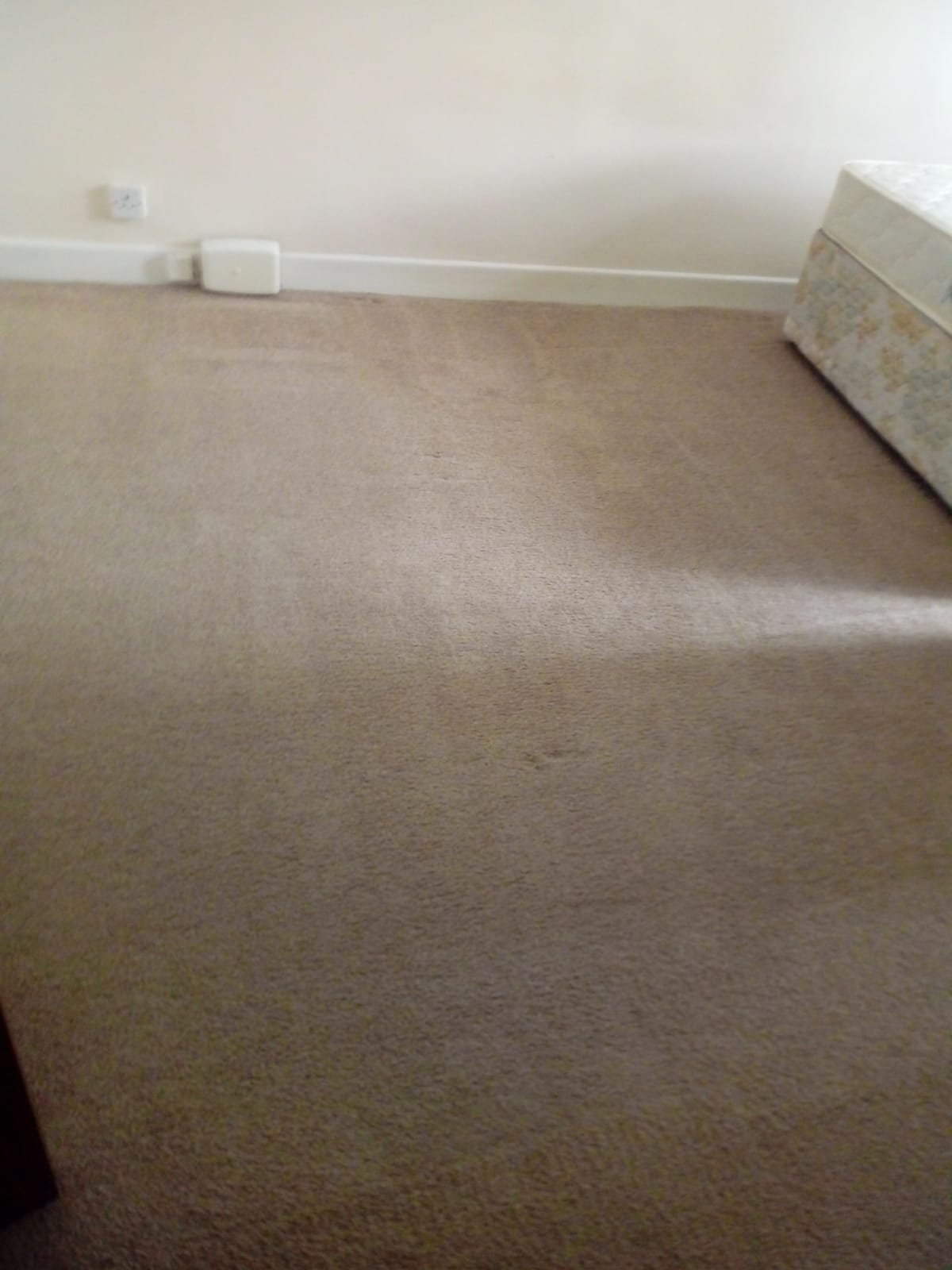 Tips For Dealing With Food And Drink Spills On Carpeting