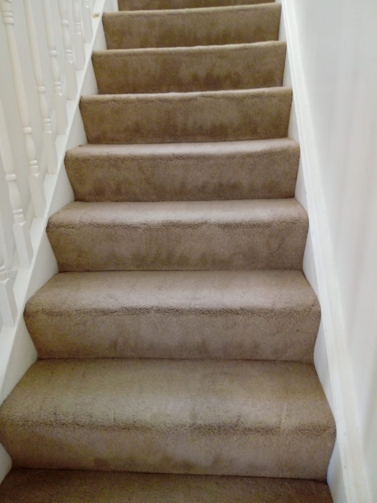 Tips For Choosing The Right Carpet For Easy Carpet Cleaning And Maintenance