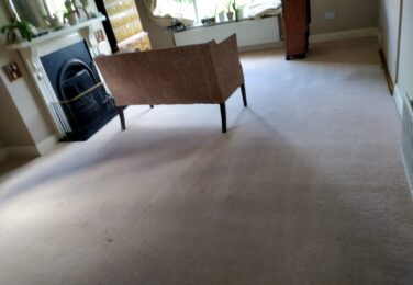 How Often Your Carpet Should Be Cleaned