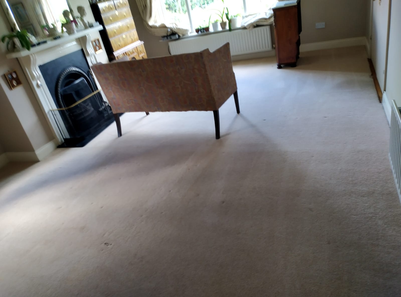 How Often Your Carpet Should Be Cleaned