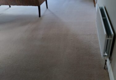 5 Benefits You Get When Hiring Professional Carpet Cleaning Services