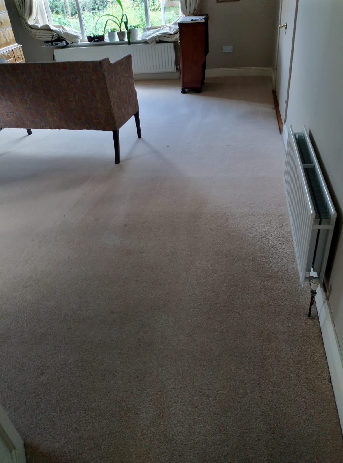 5 Benefits You Get When Hiring Professional Carpet Cleaning Services