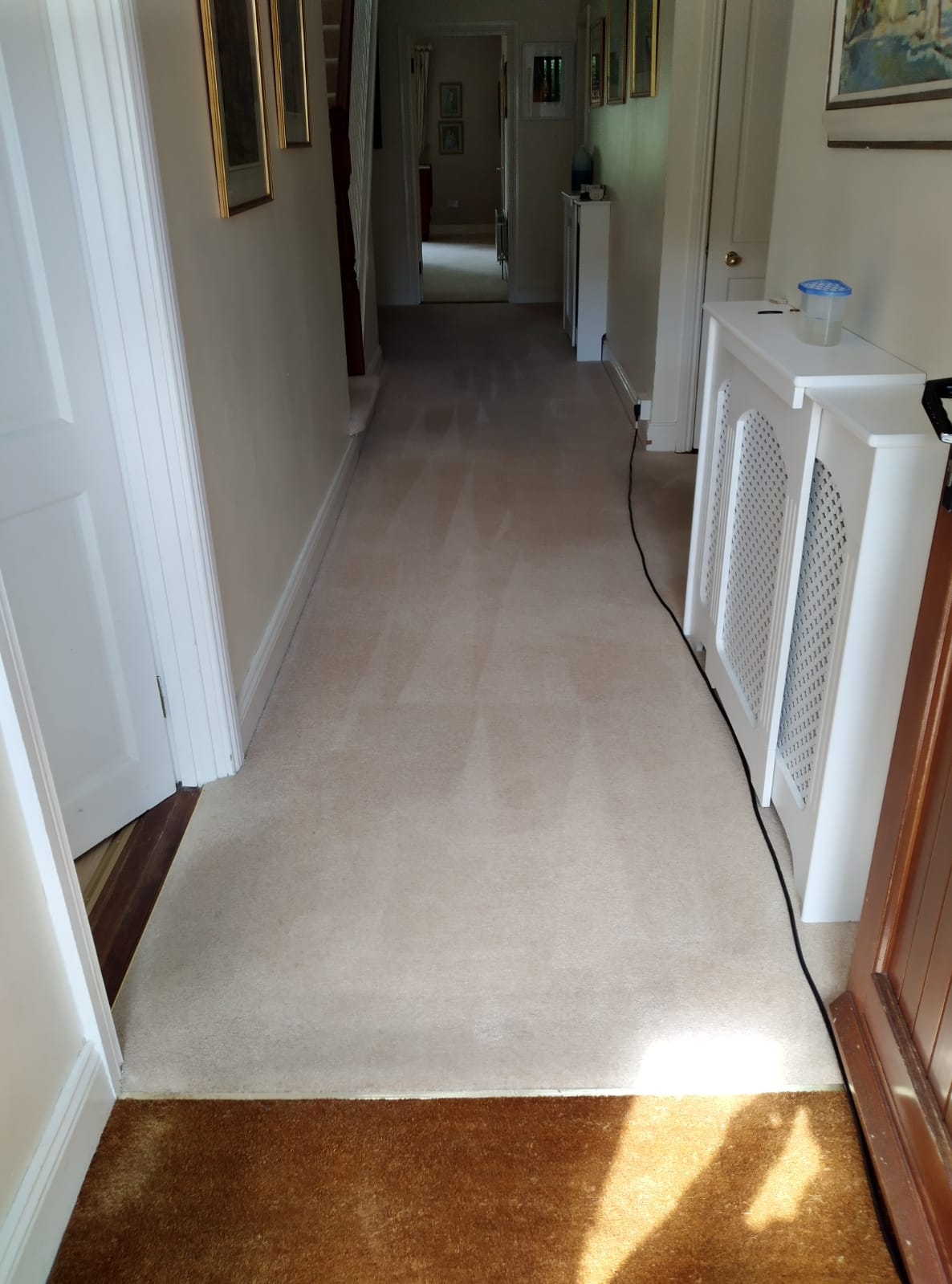 Carpet Cleaning For Homes And Businesses
