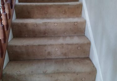 Why The Carpet Cleaning Is Key To Minimise Allergies