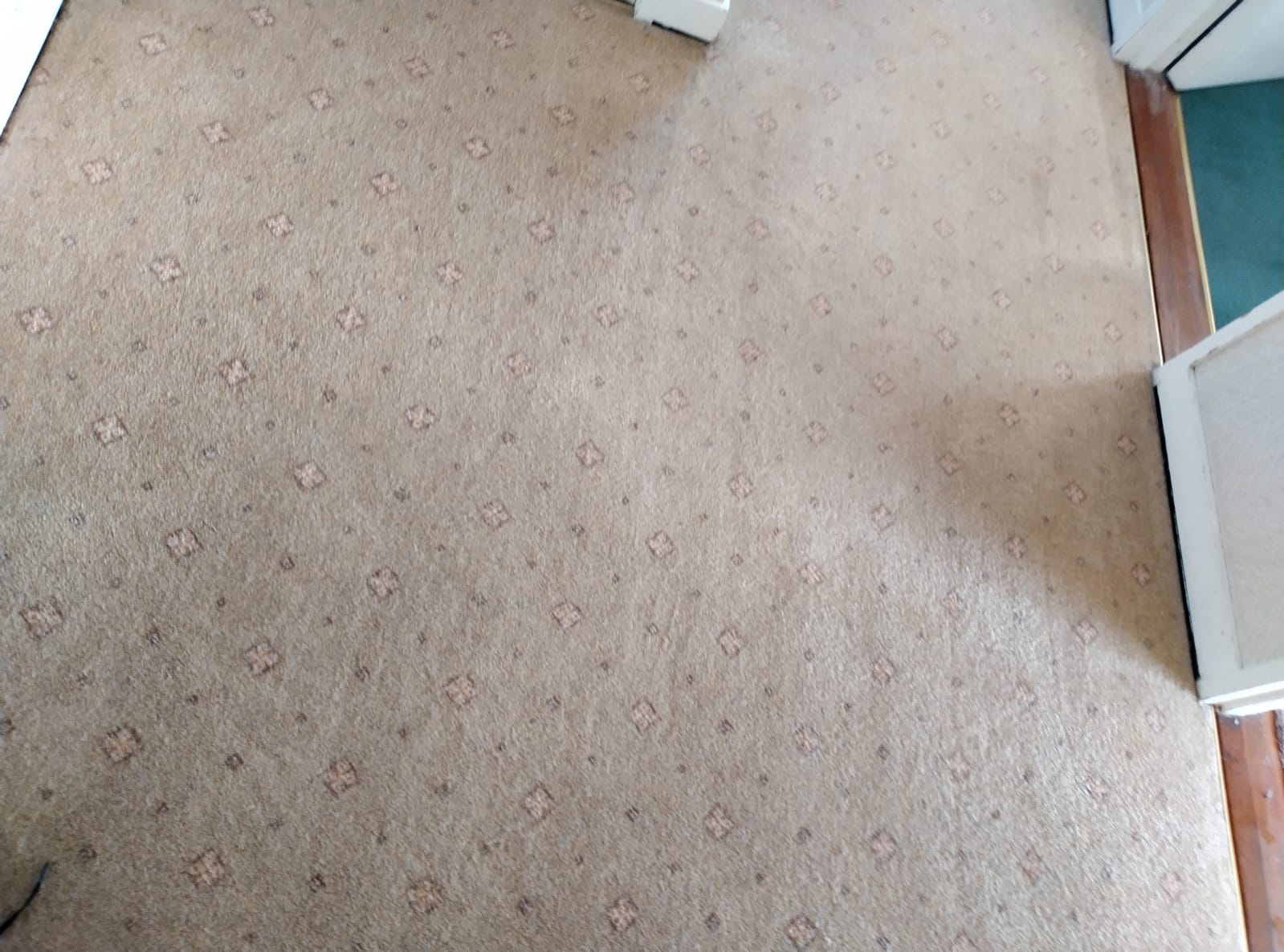 Make A Great First Impression With Commercial Carpet Cleaning Services