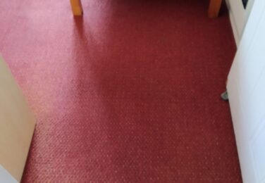 Why Carpet Cleaning Is Necessary