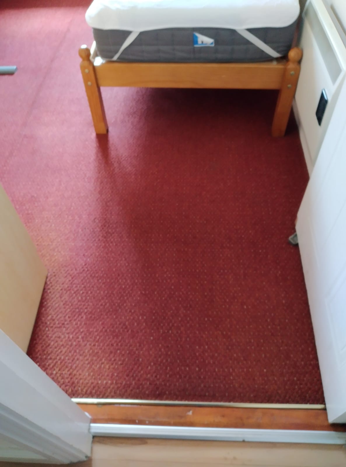 Why Carpet Cleaning Is Necessary