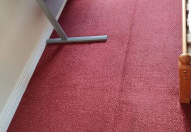 Addressing Worries About Carpet Cleaning