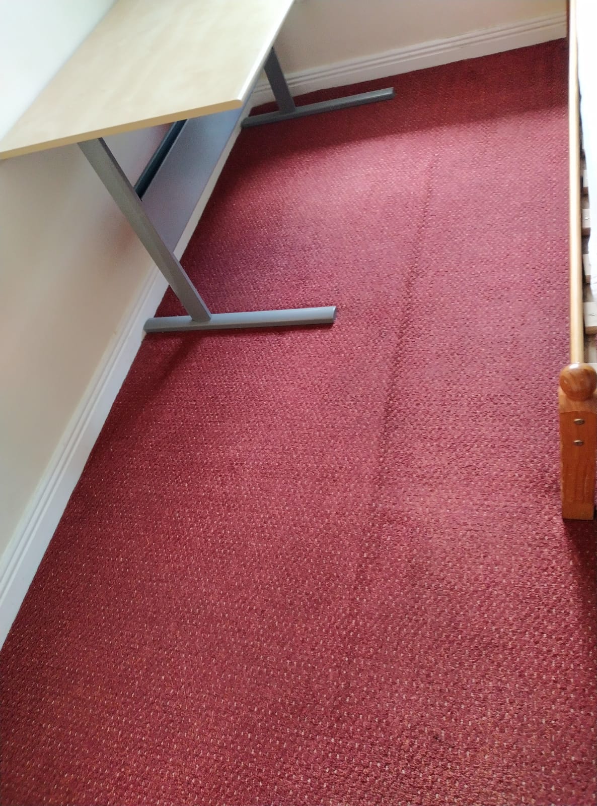 Addressing Worries About Carpet Cleaning