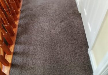 Comparing Spray Versus Plastic Carpet Protectors For Maintenance After Carpet Cleaning