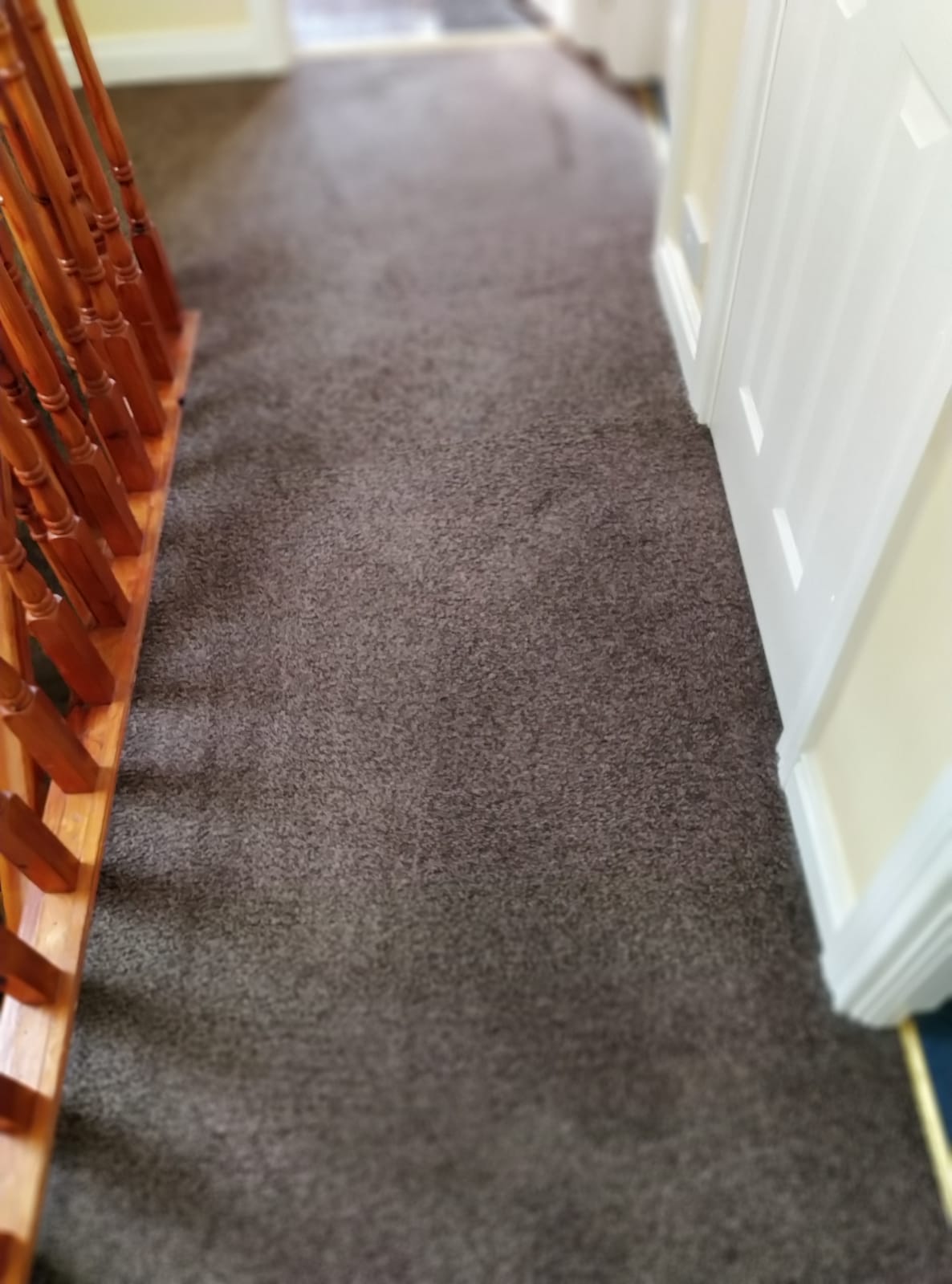 Comparing Spray Versus Plastic Carpet Protectors For Maintenance After Carpet Cleaning