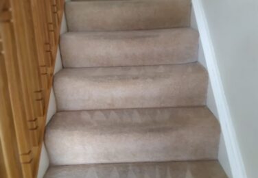 Extend The Life Of Your Carpet With These 8 Tips