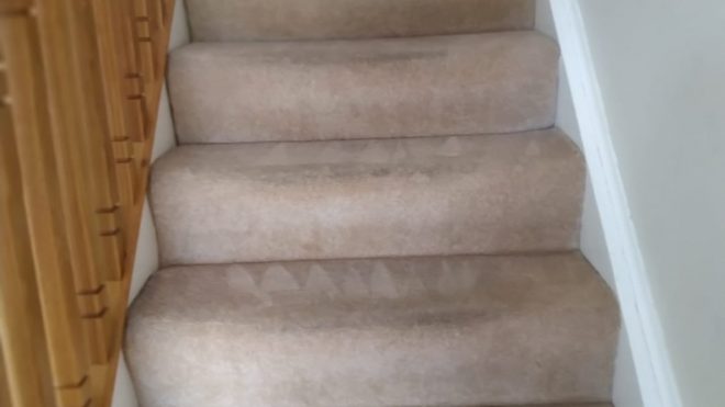 Extend The Life Of Your Carpet With These 8 Tips