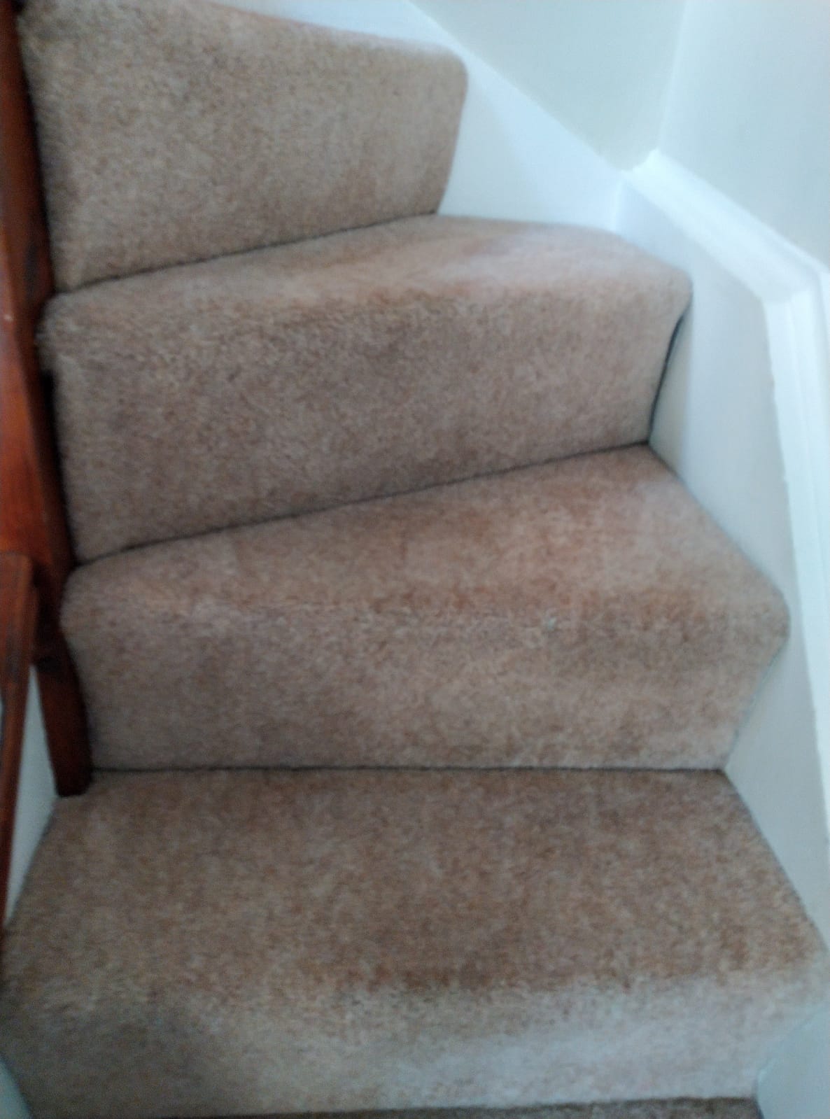 4 Reasons Why Commercial Carpet Cleaning Matters