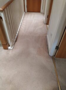 Carpet Cleaning Shankill