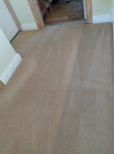 Carpet Cleaning Ranelagh