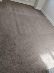 Carpet Cleaning Inchicore