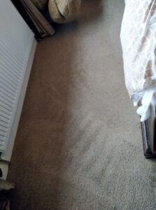 Carpet Cleaning Ringsend