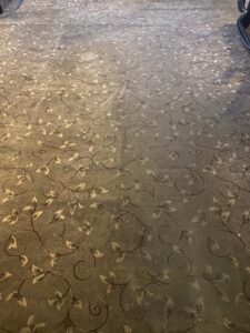 Carpet Cleaning Enfield