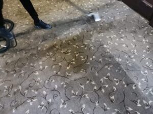Carpet Cleaning Monkstown