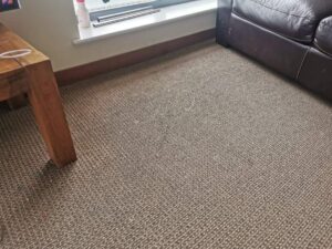 Carpet Cleaning Dublin 24