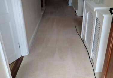 Hire Commercial Carpet Cleaning Services For Your Business