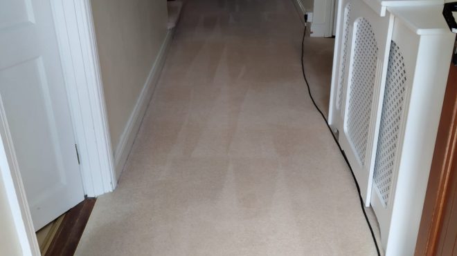 Hire Commercial Carpet Cleaning Services For Your Business
