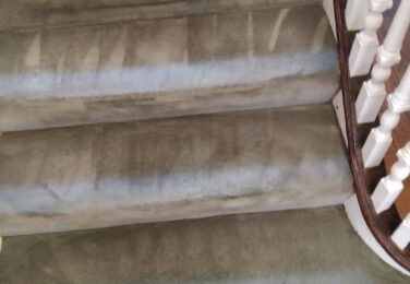 Get Rid Of Contaminants In Your Carpet