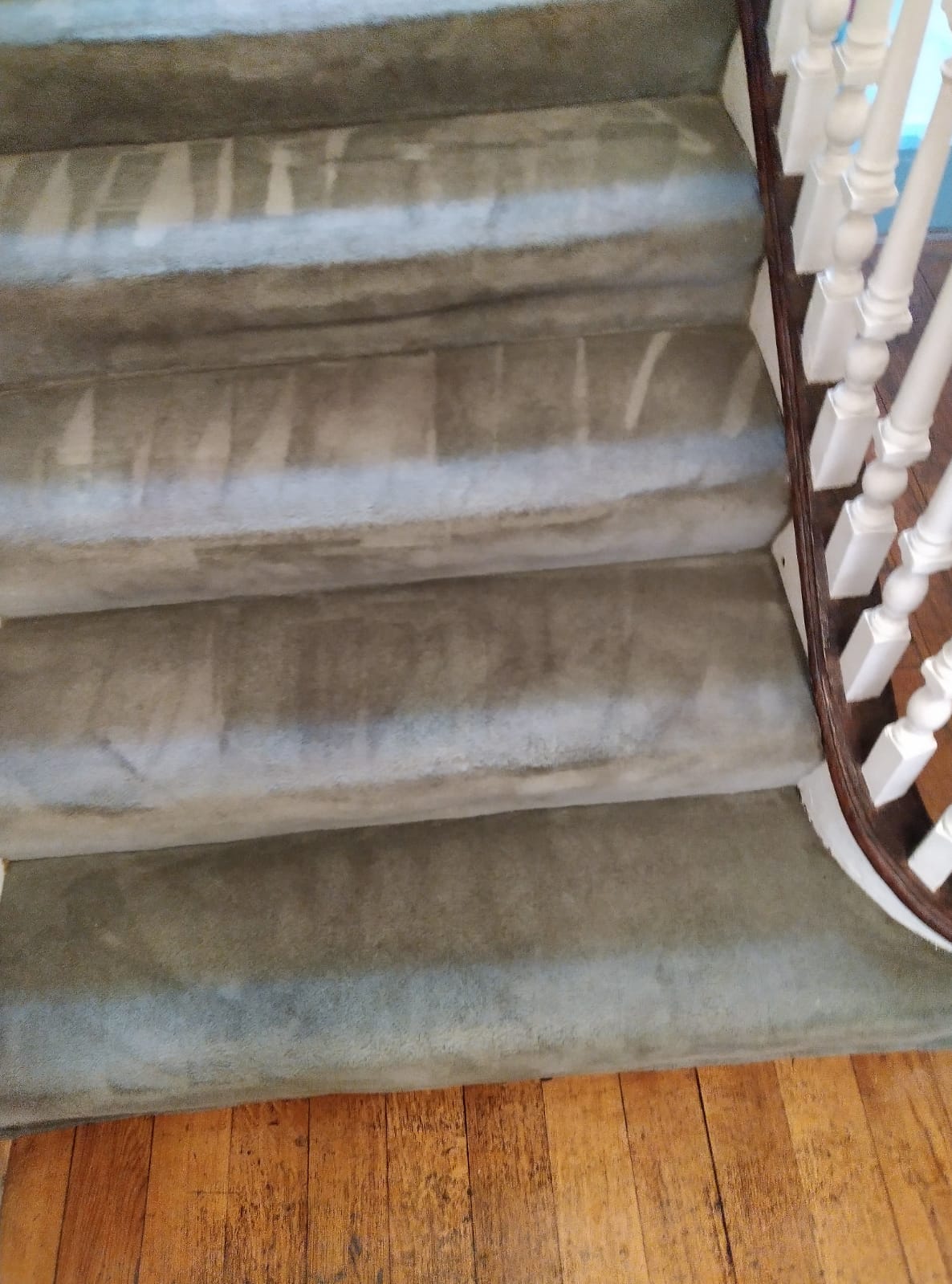 Get Rid Of Contaminants In Your Carpet