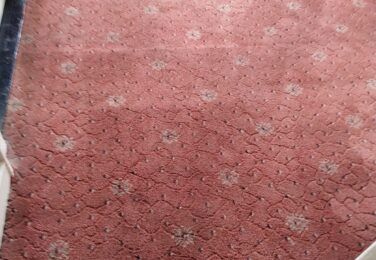 Set A Healthy Indoor Space With Quality Carpet Cleaning