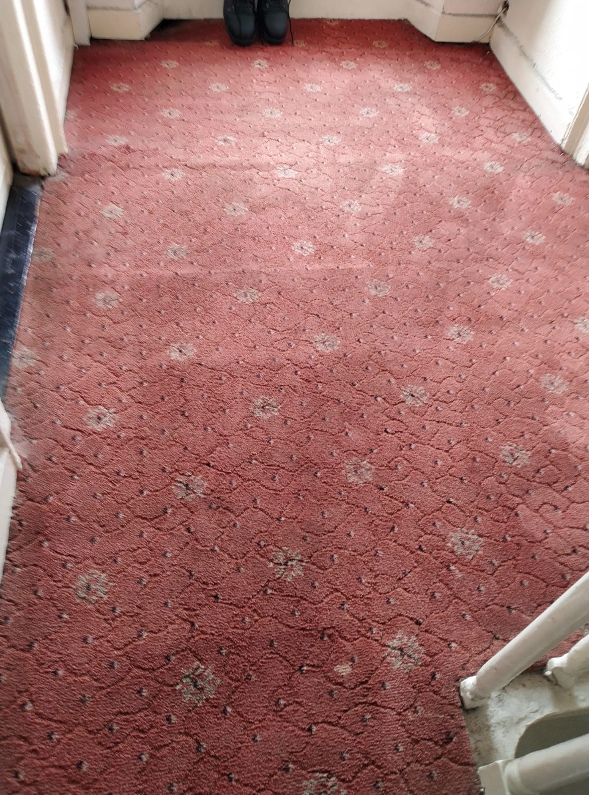 Set A Healthy Indoor Space With Quality Carpet Cleaning