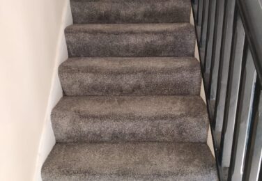 Stain Problems On The Carpet