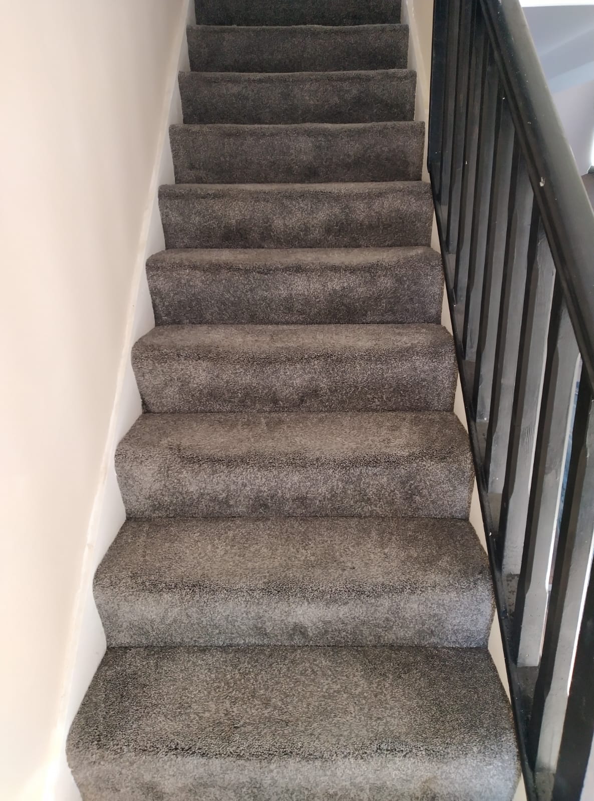 Stain Problems On The Carpet