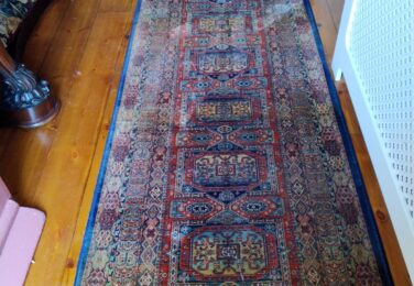 Professional Pet Stain Removal For Your Carpet