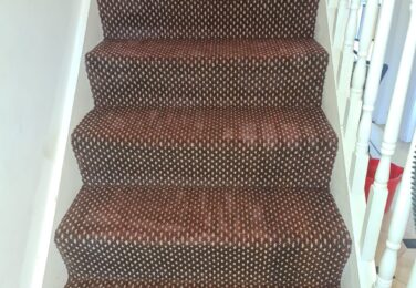 Your Carpet Is A Favourite Playground For Mites