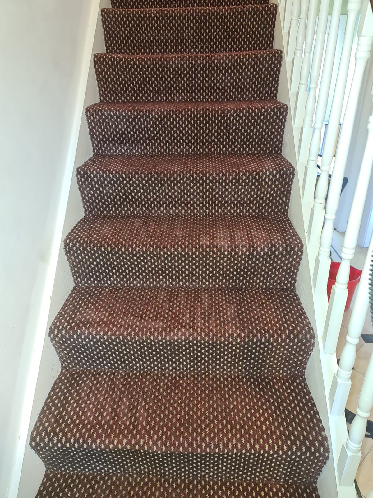 Your Carpet Is A Favourite Playground For Mites