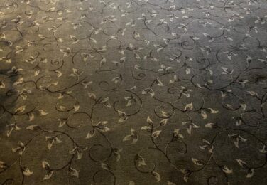 When Your Carpet Gives You The Sniffles