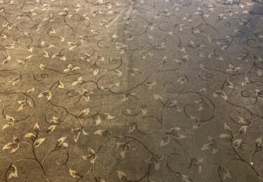 Threats Lying In Wait In Your Carpet