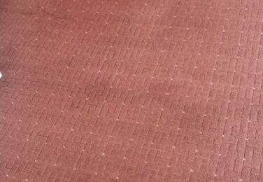 When The Carpet Becomes A Prime Health Risk In The Household