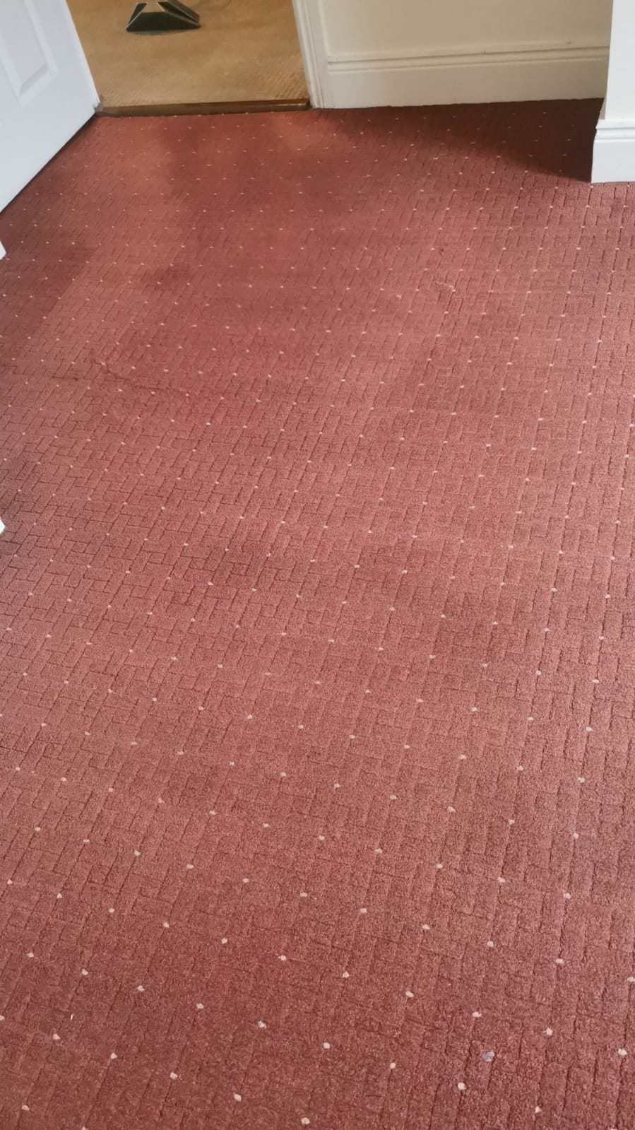 When The Carpet Becomes A Prime Health Risk In The Household