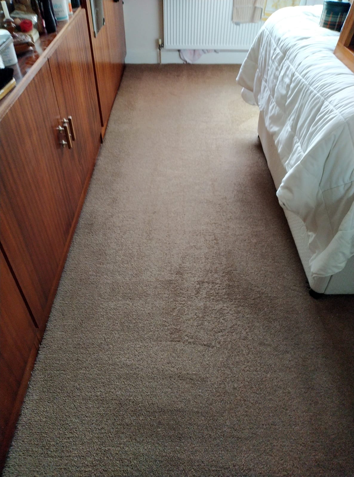 Carpet Cleaning Services For Vacation Homes