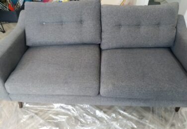 The Grime That Pets Add To The Sofa