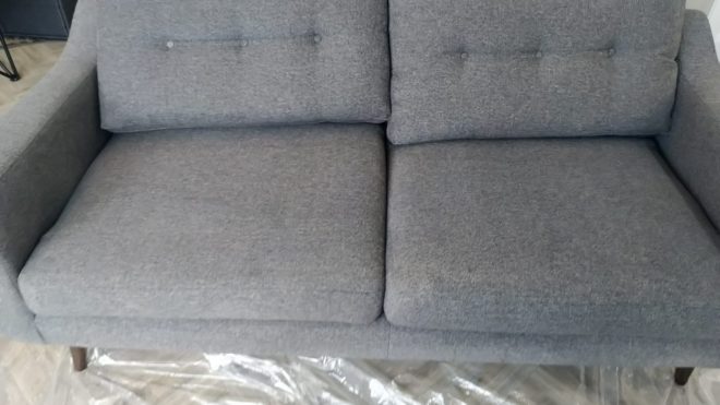 The Grime That Pets Add To The Sofa