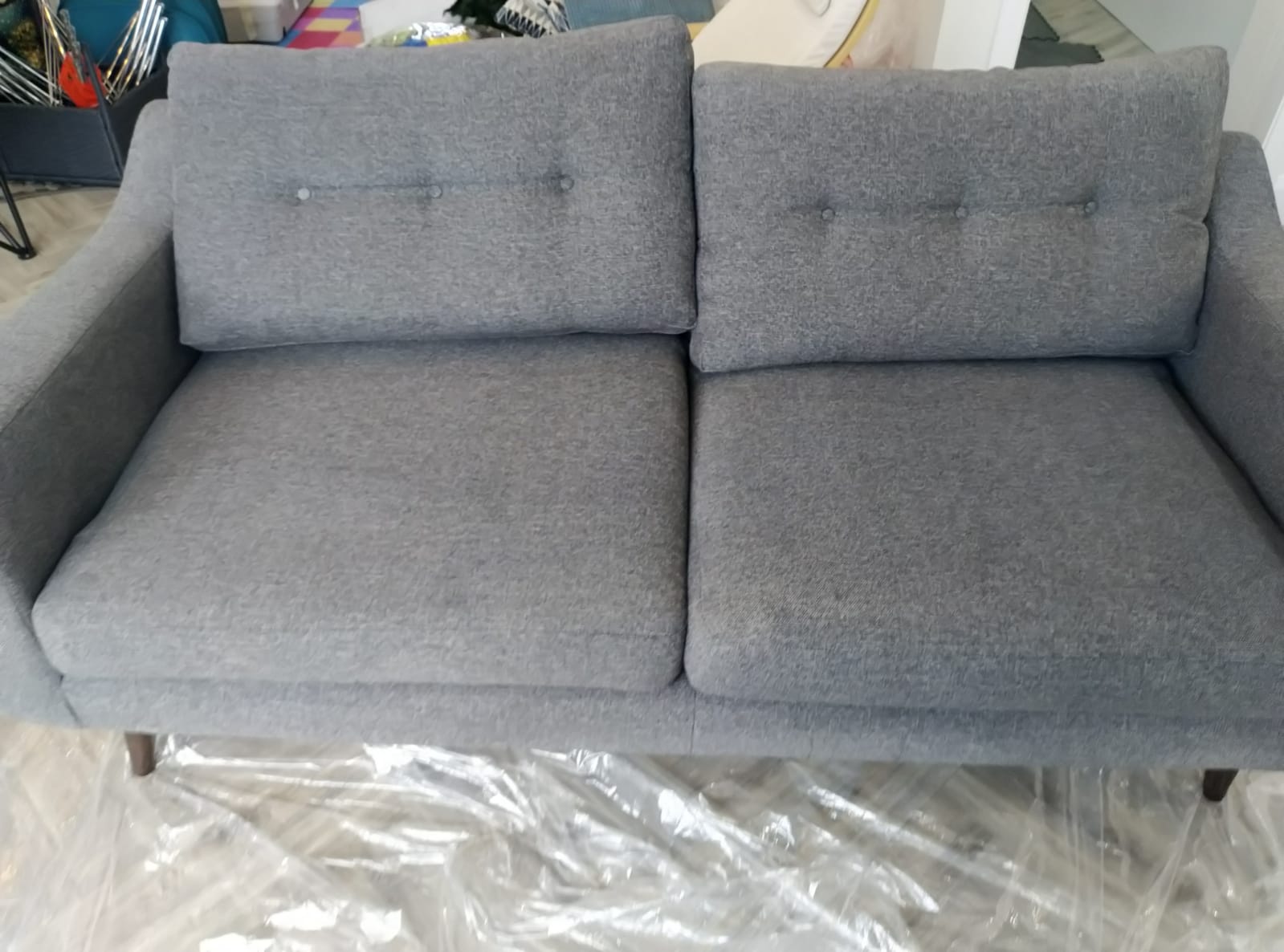 The Grime That Pets Add To The Sofa