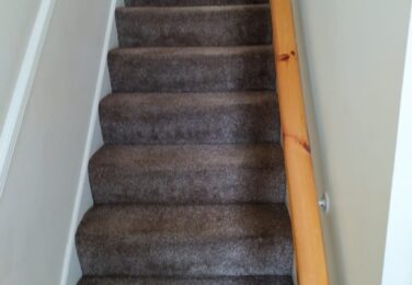 Carpet Cleaning Is Essential For A Healthy Home