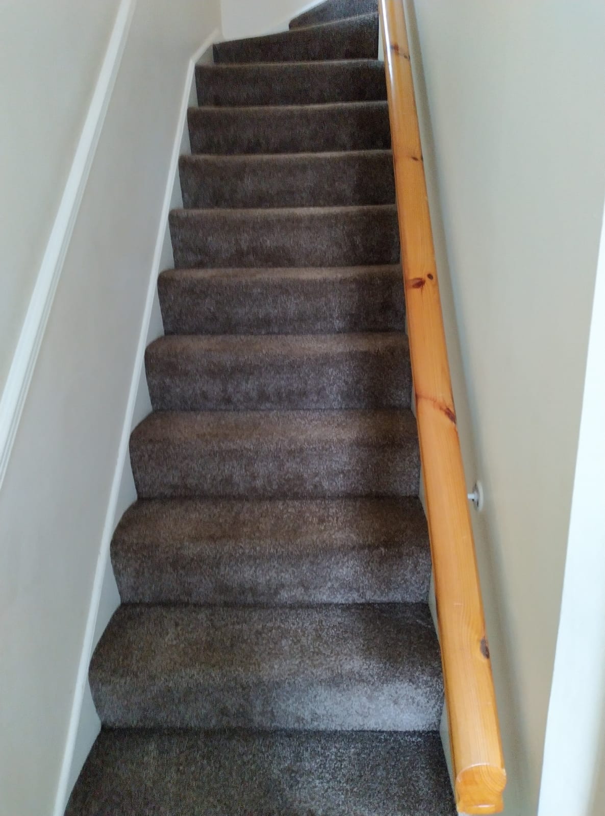 Carpet Cleaning Is Essential For A Healthy Home